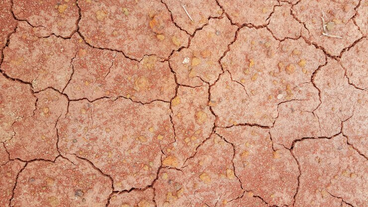 Gratis Foto verf oude muur van de aarde milieu