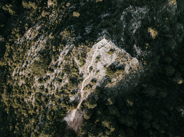 Gratis Foto verhoogde mening van bomen op rotsachtige berg