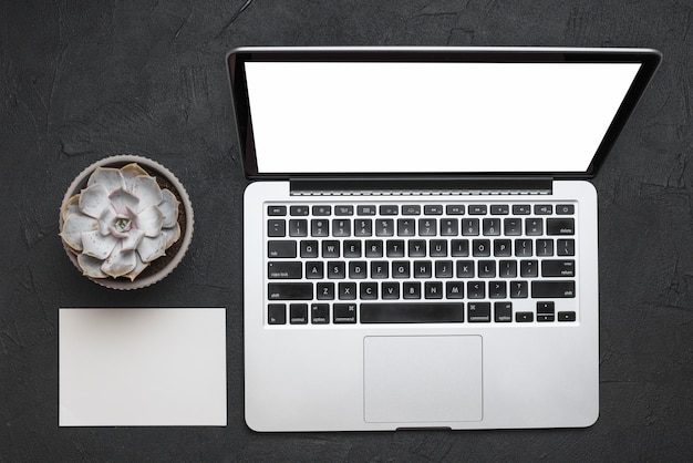 Verhoogde weergave van laptop; blanco papier en vetplant op zwart oppervlak