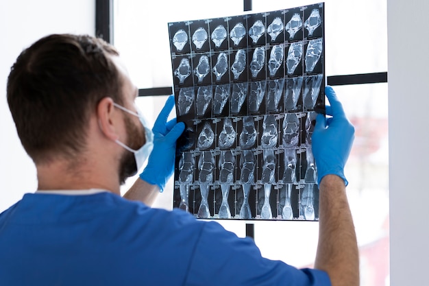 Gratis foto verpleegkundige kijken naar radiografie zijaanzicht