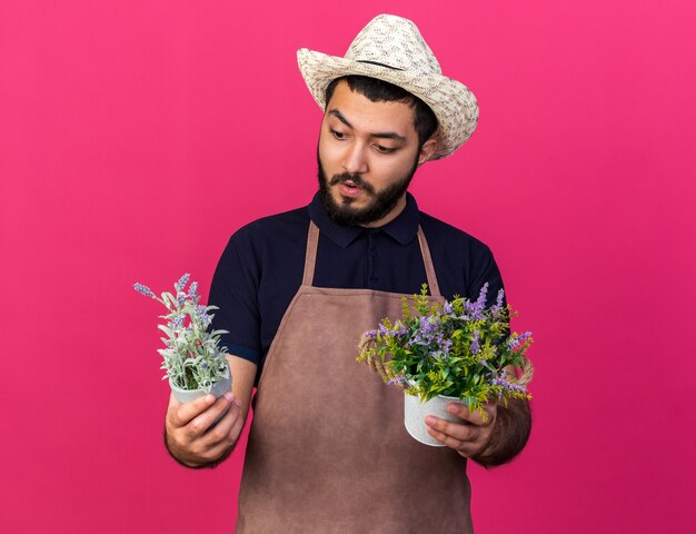 verraste jonge kaukasische mannelijke tuinman die een tuinhoed draagt die bloempotten vasthoudt en kijkt die op roze muur met exemplaarruimte worden geïsoleerd