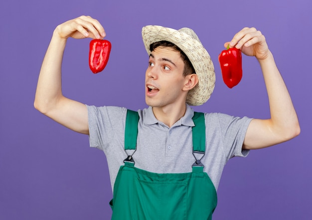 Verraste jonge mannelijke tuinman die een tuinhoed draagt, houdt rode paprika's vast