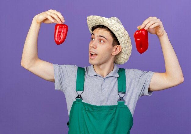 Verraste jonge mannelijke tuinman die een tuinhoed draagt, houdt rode paprika's vast