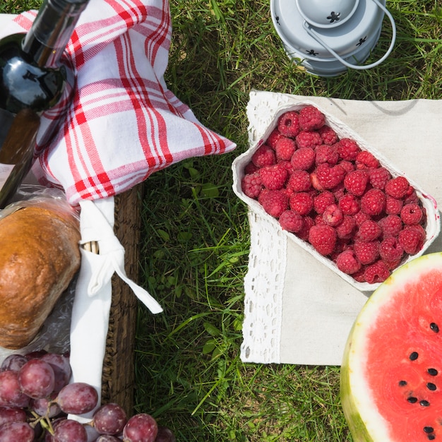 Vers fruit en picknickmand op groen gras