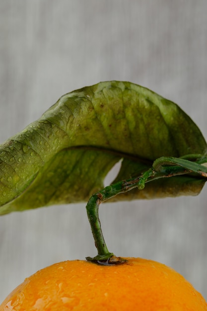 Vers geplukte sinaasappel met blad, close-up.