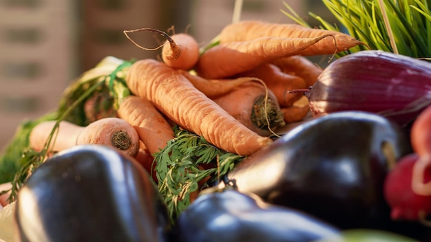 Gratis foto verscheidenheid aan kleurrijke groenten en fruit geteeld in de tuin te zien op de buitenmarkt, seizoensoogst. diverse groenten en rauwe biologische producten die in dozen worden verkocht. schot uit de hand. detailopname.