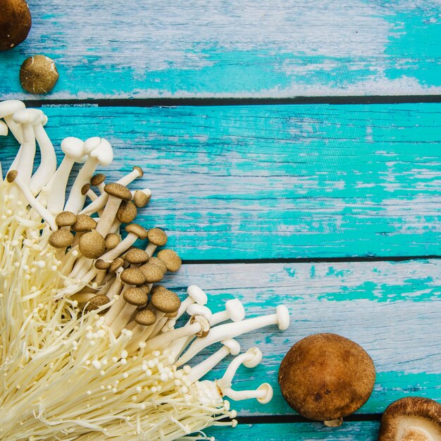 Verscheidenheid van rauwe paddestoelen op een oude houten tafel