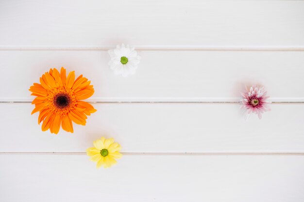 Verschillende bloemen in zachte samenstelling