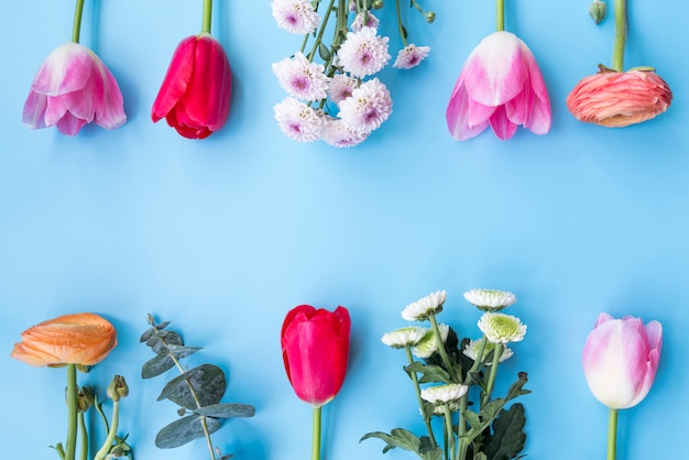 Gratis foto verschillende heldere bloemen op takjes