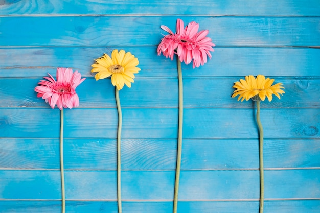 Gratis foto verschillende kleine bloemen op blauwe lijst