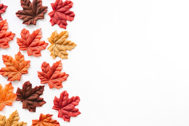 Verschillende kleurrijke herfstbladeren op witte achtergrond