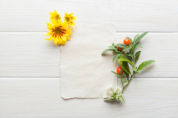 Verschillende planten en blad