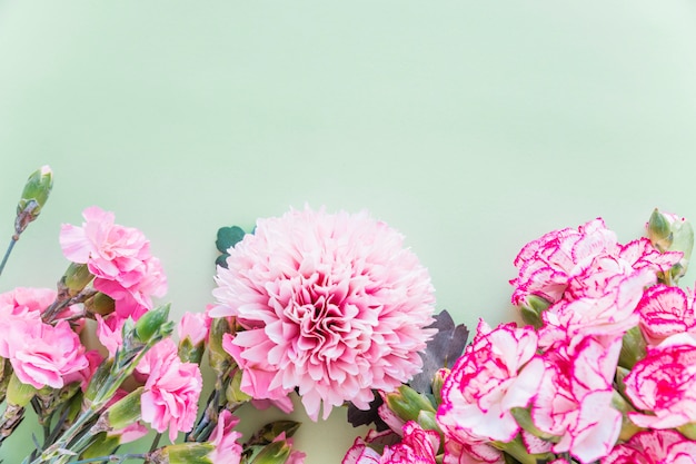 Verschillende roze bloemen op groene tafel