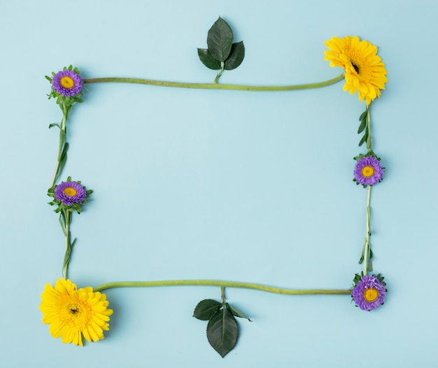 Verschillende soorten bloemen en bladeren vormen een natuurlijk kader