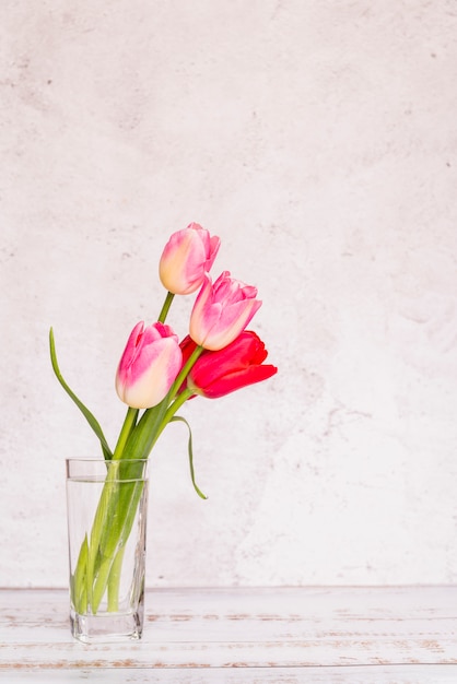 Verschillende verse kleurrijke tulpen in glas