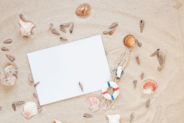 Verschillende zeeshells met leeg document op zand