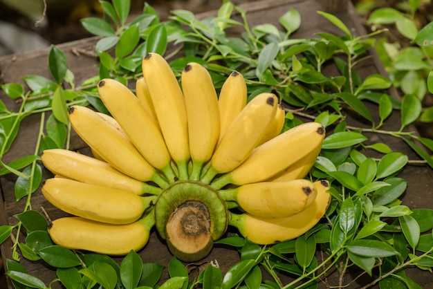 Gratis foto verse banaan op tafel