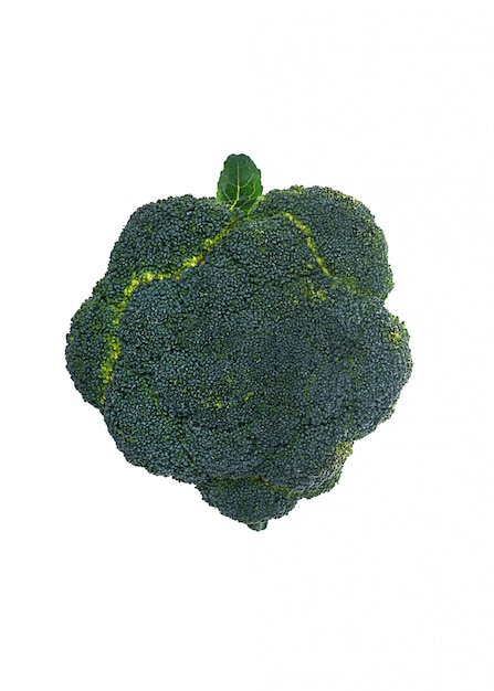 Verse broccoli die over wit worden geïsoleerd