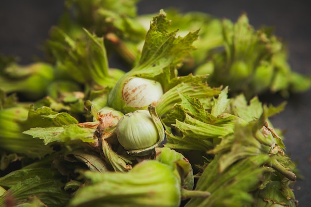 Verse groene hazelnoten op donkerbruin. detailopname.