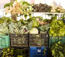 Gratis foto verse groente ingepakt in plastic krat bij kruidenierswinkelopslag