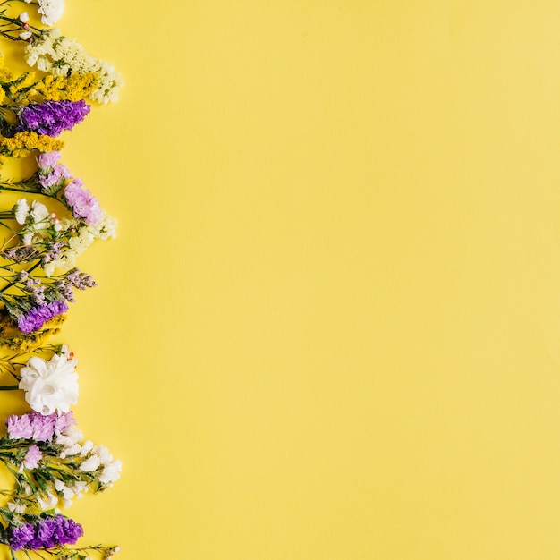 Gratis foto verse kleurrijke kleine bloemen