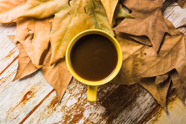 Verse koffie op bladeren