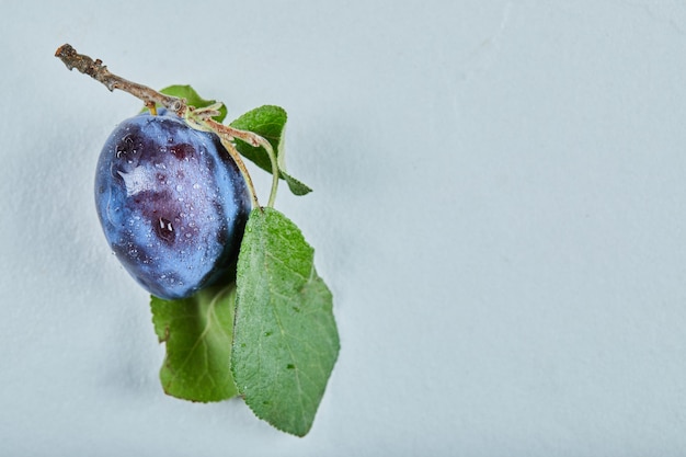 Verse pruim met blad geïsoleerd op blauw.