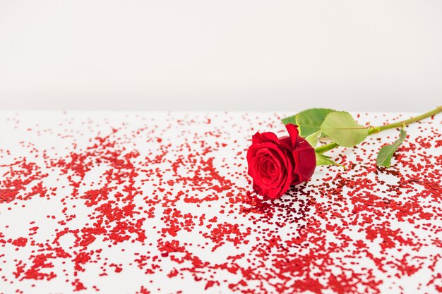 Verse rode bloei dichtbij confettien
