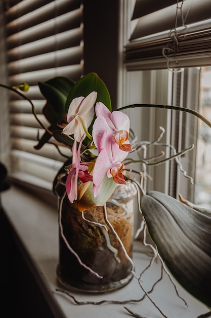 Versierde vaas met bloemen naast een raam