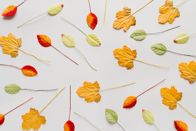 Verspreide herfstbladeren op witte achtergrond