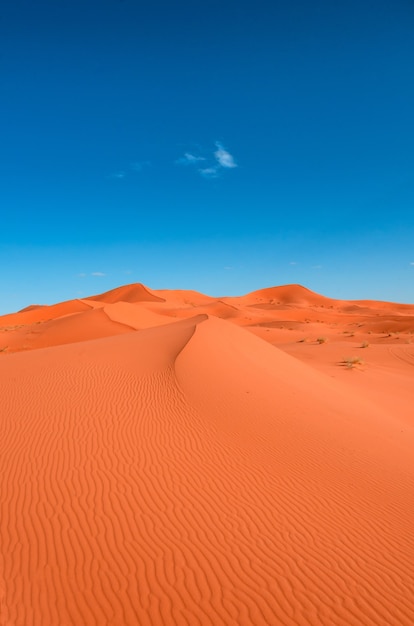 Verticaal beeld van een landschap van oranje zandduinen tegen een blauwe lucht