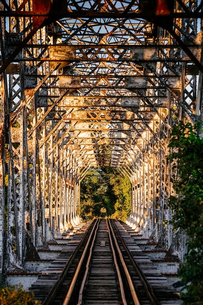 Verticaal beeld van een mysterieus verlaten spoorweg temidden van een bloeiend bos
