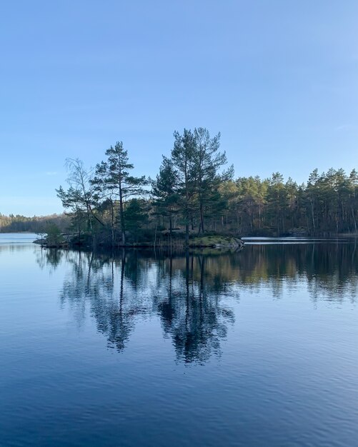 Verticaal beeld van een schilderachtige rivier, omringd door alpenbomen onder een helderblauwe hemel