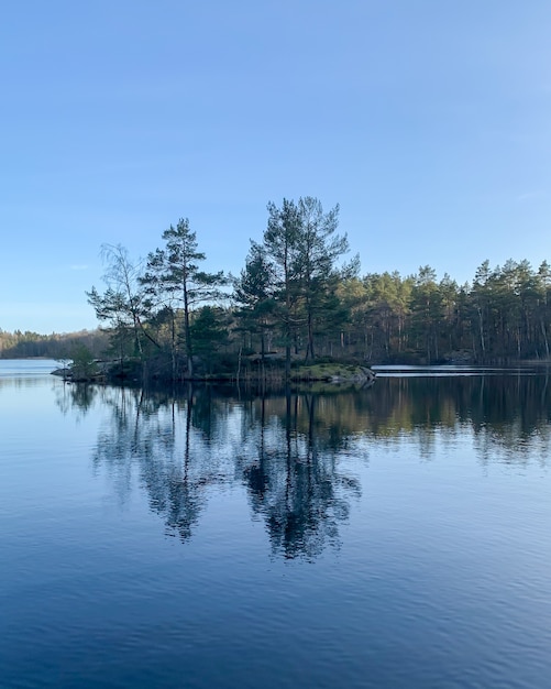 Verticaal beeld van een schilderachtige rivier, omringd door alpenbomen onder een helderblauwe hemel