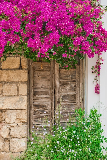 Verticaal geschoten straten van de middeleeuwse stad rhodos de deur van een oud huis en bloeiende struiken het begin van de zomerreis door de populaire plaatsen van de dodekanesos-archipel griekenland