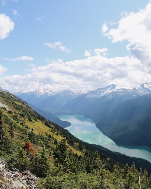 Verticaal schot van de bergen van Whistler met een rivier die tussen in Brits Colombia, Canada stroomt