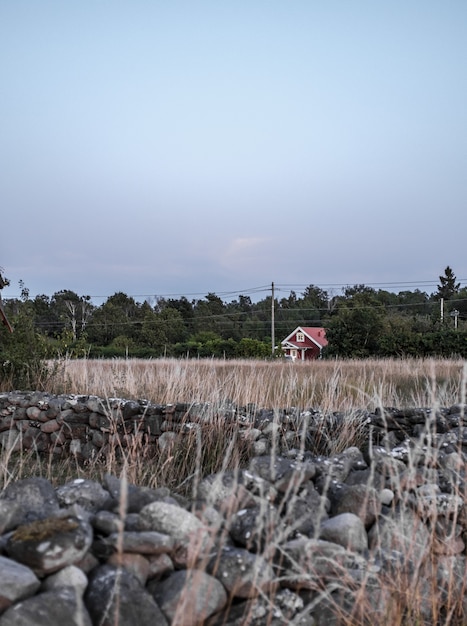 Gratis foto verticaal schot van een eenzaam plattelandshuis in een gebied met bos en rotsen op de voorgrond