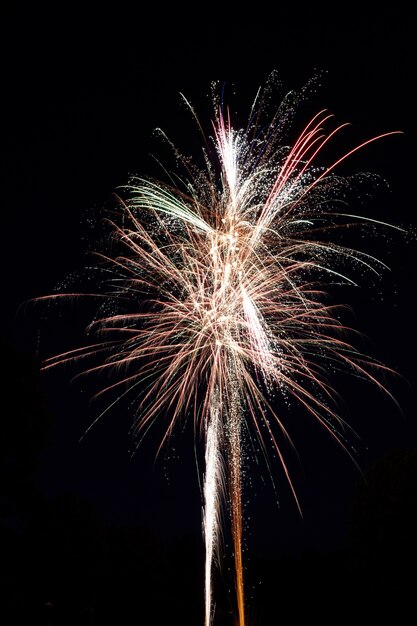 Verticaal schot van een mooi vuurwerk dat explodeert