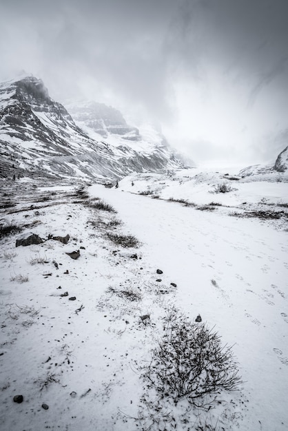 Verticaal schot van een sneeuwbos dat door heuvels onder de duidelijke hemel wordt omringd