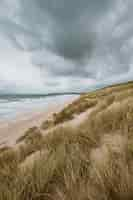 Gratis foto verticaal schot van het gras behandelde strand door de kalme oceaan die in cornwall, engeland wordt gevangen