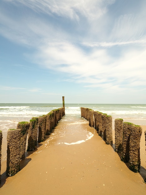 Gratis foto verticaal schot van houten golfbrekers op het gouden zandstrand met een duidelijke zonnige hemel