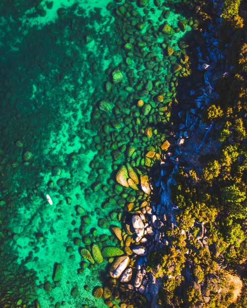 Verticaal schot van opstaan paddleboard van Lake Tahoe