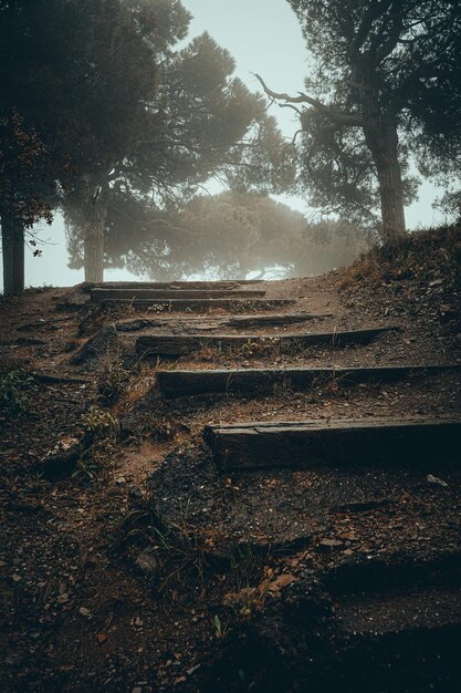 Verticaal schot van oude stenen trappen in een park op een mistige dag in de herfst