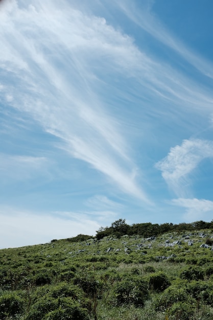 Verticaal schot van rotsen op een heuvel die met gras en installaties onder een blauwe hemel wordt behandeld