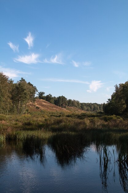 Verticaal schot van water omgeven door een bos onder een blauwe hemel