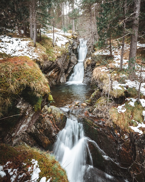 Verticaal schot van watervalcascades in het midden van het bos in de winter