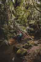 Gratis foto verticaal shot van een meisje op de stenen van het bos in de buurt van de kitekite falls, nieuw-zeeland