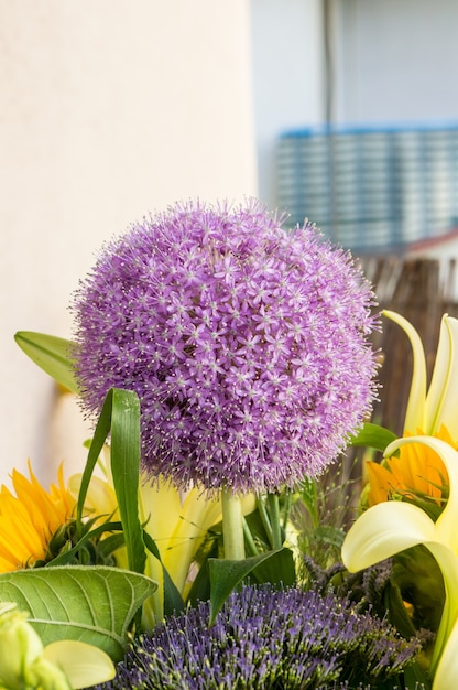 Gratis foto verticale close-up shot van een knoflookplant met een onscherpe achtergrond