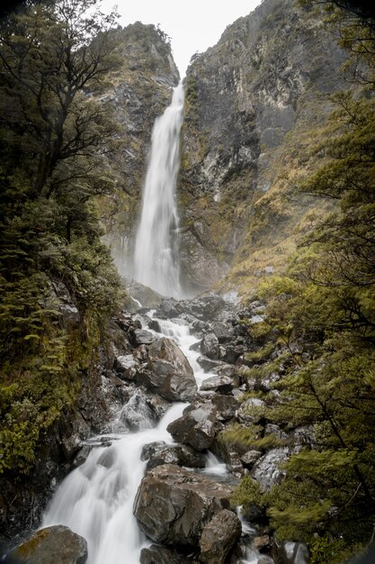 Verticale foto van Devils Punchbowl Waterval omgeven door groen in Nieuw-Zeeland