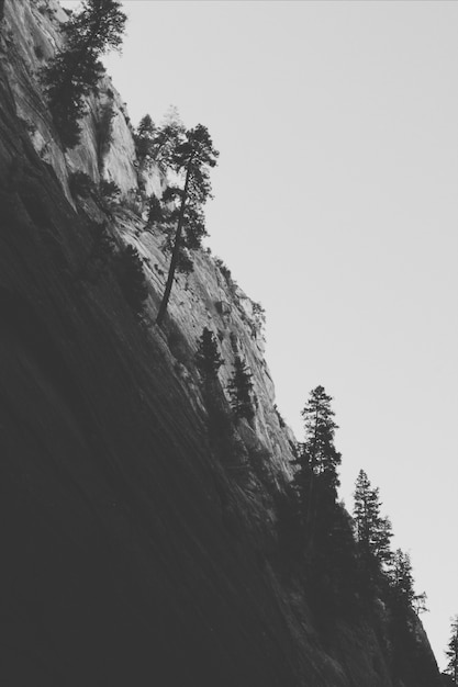 Verticale greyscale shot van een prachtige steile berg met bomen in zion national park